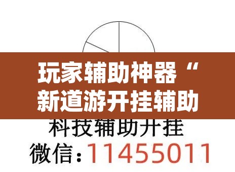 玩家辅助神器“新道游开挂辅助软件”(透视)其实确实有挂