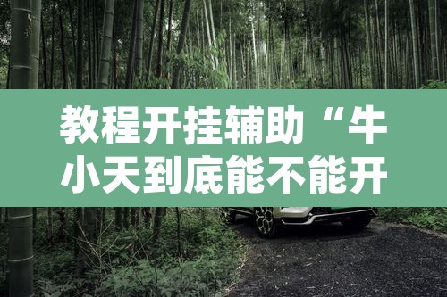教程开挂辅助“牛小天到底能不能开挂”(透视)其实确实有挂
