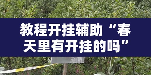 教程开挂辅助“春天里有开挂的吗	”其实确实有挂