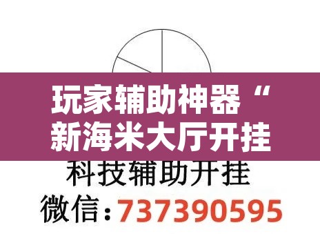 玩家辅助神器“新海米大厅开挂效果	”开挂辅助脚本+详细开挂安装教程
