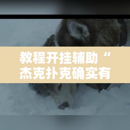 教程开挂辅助“杰克扑克确实有挂吗”开挂辅助脚本+详细开挂安装教程