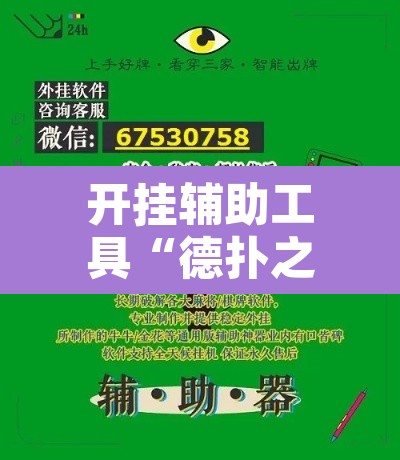 开挂辅助工具“德扑之星辅助器	”开挂辅助脚本+详细开挂安装教程