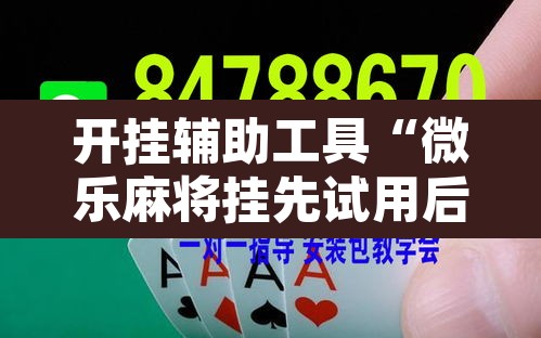 开挂辅助工具“微乐麻将挂先试用后付款”其实确实有挂