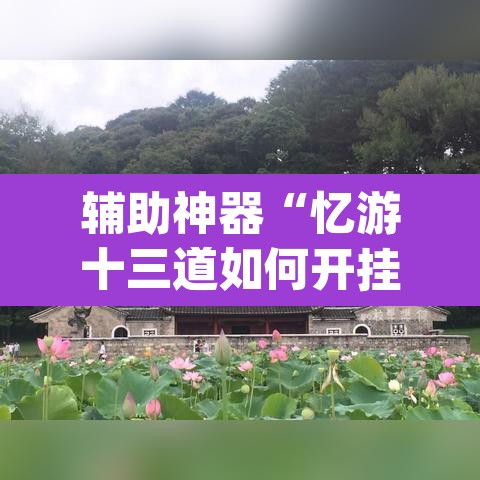 辅助神器“忆游十三道如何开挂	”(透视挂)辅助透视教程
