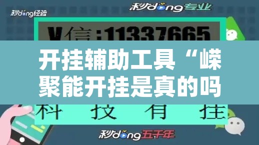 开挂辅助工具“嵘聚能开挂是真的吗”开挂辅助脚本+详细开挂安装教程