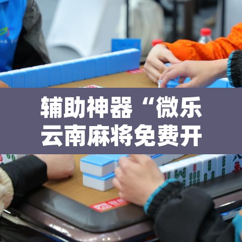 辅助神器“微乐云南麻将免费开挂手机版	”(透视)其实确实有挂