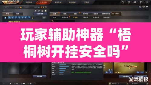 玩家辅助神器“梧桐树开挂安全吗”(透视)其实确实有挂