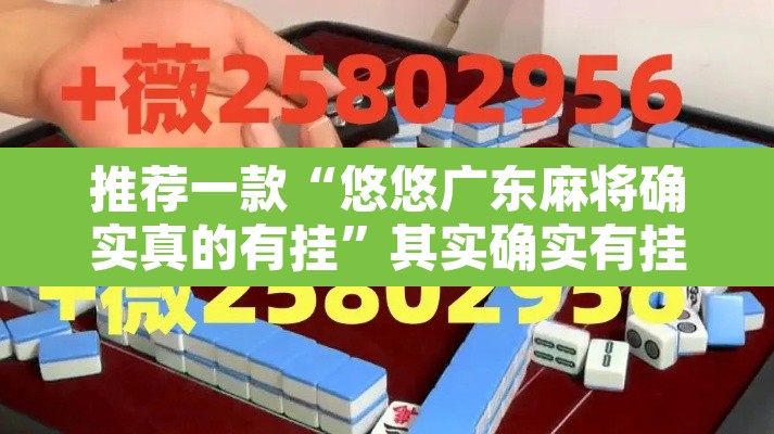 推荐一款“悠悠广东麻将确实真的有挂”其实确实有挂