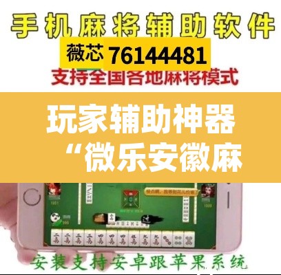 玩家辅助神器“微乐安徽麻将怎么提高胜率”(透视)其实确实有挂
