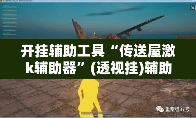 开挂辅助工具“传送屋激k辅助器”(透视挂)辅助透视教程