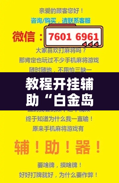 教程开挂辅助“白金岛跑胡子开挂辅助教程	”其实确实有挂