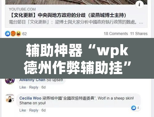 辅助神器“wpk德州作弊辅助挂	”开挂辅助脚本+详细开挂安装教程