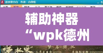 辅助神器“wpk德州作弊辅助挂”开挂辅助脚本+详细开挂安装教程