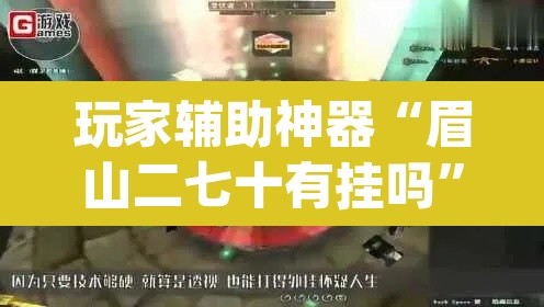玩家辅助神器“眉山二七十有挂吗	”(透视)其实确实有挂