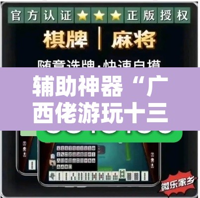 辅助神器“广西佬游玩十三张辅助器	”附辅助神器开挂脚本详细步骤