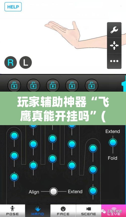 玩家辅助神器“飞鹰真能开挂吗	”(透视挂)辅助透视教程
