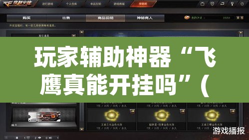 玩家辅助神器“飞鹰真能开挂吗	”(透视挂)辅助透视教程