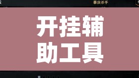 开挂辅助工具“白金岛十胡卡能装透视挂吗”其实确实有挂