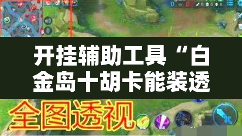 开挂辅助工具“白金岛十胡卡能装透视挂吗”其实确实有挂