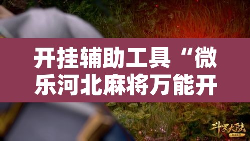 开挂辅助工具“微乐河北麻将万能开挂器免费通用版”开挂辅助脚本+详细开挂安装教程