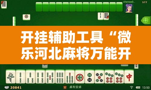开挂辅助工具“微乐河北麻将万能开挂器免费通用版”开挂辅助脚本+详细开挂安装教程
