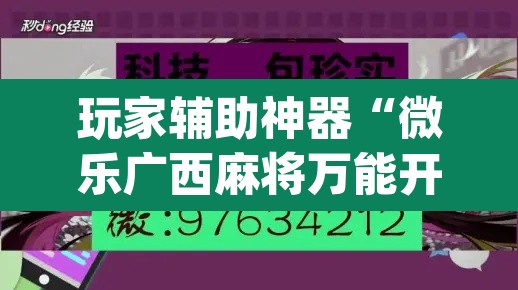 玩家辅助神器“微乐广西麻将万能开挂器”(透视)其实确实有挂