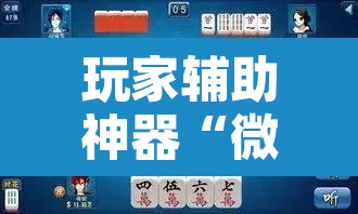 玩家辅助神器“微乐三丁拐麻将赢了抓鸡怎么算的”其实确实有挂