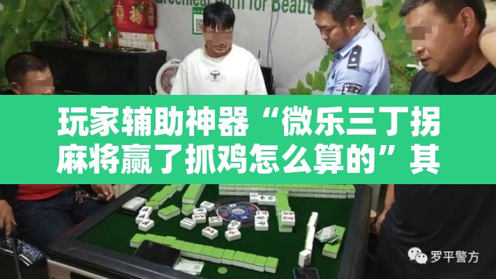 玩家辅助神器“微乐三丁拐麻将赢了抓鸡怎么算的”其实确实有挂