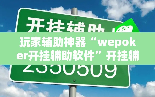 玩家辅助神器“wepoker开挂辅助软件”开挂辅助脚本+详细开挂安装教程