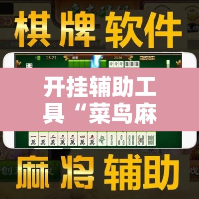 开挂辅助工具“菜鸟麻将开挂神器”附辅助神器开挂脚本详细步骤