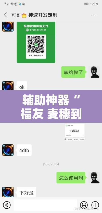 辅助神器“福友 麦穗到底有挂吗”开挂辅助脚本+详细开挂安装教程