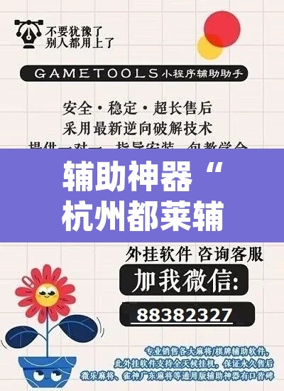 辅助神器“杭州都莱辅助器	”(透视挂)辅助透视教程