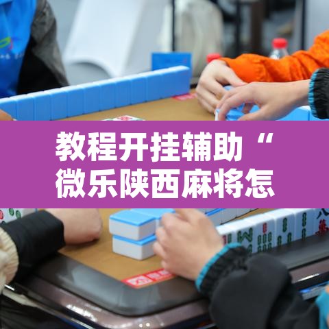 教程开挂辅助“微乐陕西麻将怎么提高胜率”其实确实有挂
