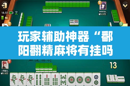 玩家辅助神器“鄱阳翻精麻将有挂吗”其实确实有挂