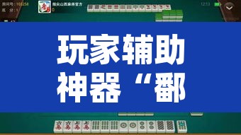 玩家辅助神器“鄱阳翻精麻将有挂吗”其实确实有挂