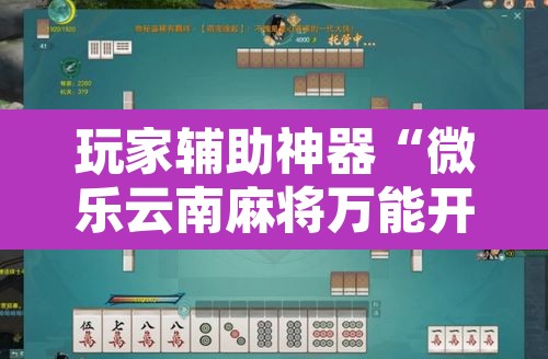 玩家辅助神器“微乐云南麻将万能开挂器”其实确实有挂