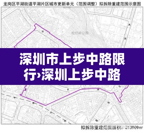 深圳市上步中路限行›深圳上步中路货车限行时间 深圳市上步中路限行›深圳上步中路货车限行时间