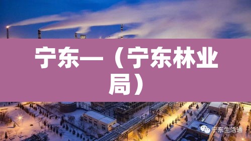 宁东—(宁东林业局) 宁东—(宁东林业局)