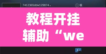教程开挂辅助“wepoker透视挂教程”附辅助神器开挂脚本详细步骤