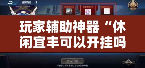 玩家辅助神器“休闲宜丰可以开挂吗”其实确实有挂