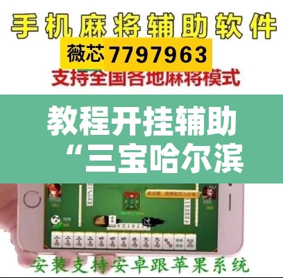 教程开挂辅助“三宝哈尔滨麻将辅助器工具”附辅助神器开挂脚本详细步骤