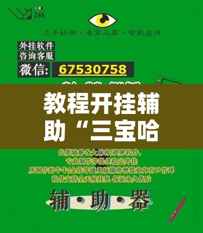 教程开挂辅助“三宝哈尔滨麻将辅助器工具	”附辅助神器开挂脚本详细步骤
