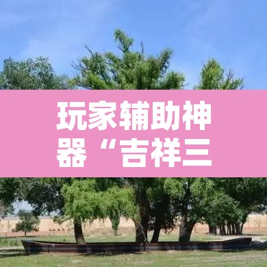 玩家辅助神器“吉祥三公透视是真的吗	”开挂辅助脚本+详细开挂安装教程
