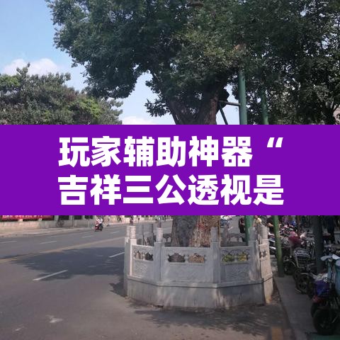 玩家辅助神器“吉祥三公透视是真的吗	”开挂辅助脚本+详细开挂安装教程