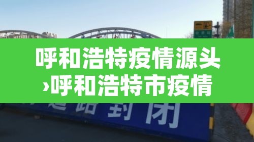 呼和浩特疫情源头›呼和浩特市疫情源头