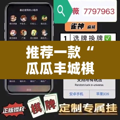 推荐一款“瓜瓜丰城棋牌挂怎么安装”开挂辅助脚本+详细开挂安装教程