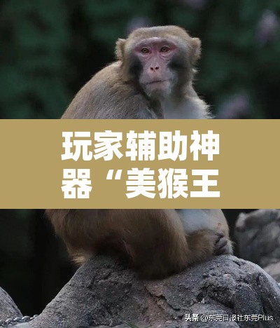 玩家辅助神器“美猴王大厅是不是有挂吗”其实确实有挂