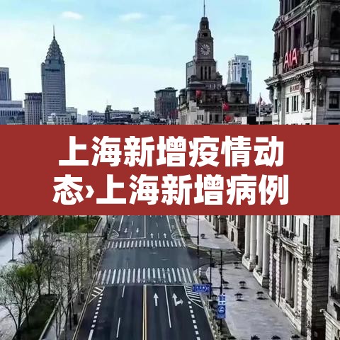上海新增疫情动态›上海新增病例情况
