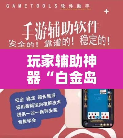 玩家辅助神器“白金岛跑得快开挂神器”其实确实有挂