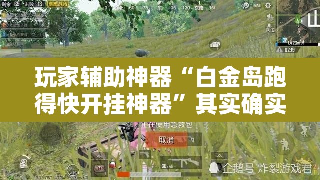 玩家辅助神器“白金岛跑得快开挂神器”其实确实有挂